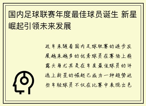 国内足球联赛年度最佳球员诞生 新星崛起引领未来发展