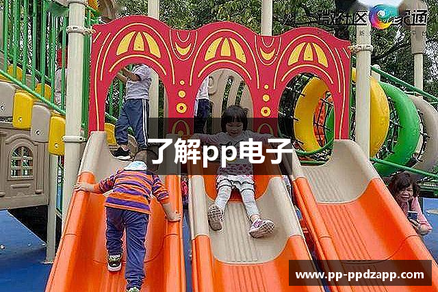 了解pp电子
